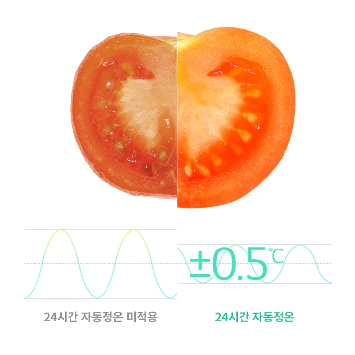 토마토 단면이 두 부분으로 나뉘어 있으며, 각 부분의 색상이 다릅니다. 아래에는 두 개의 온도 변화 그래프가 있으며, 각각 24시간 자동정온 미적용과 24시간 자동정온이라는 텍스트가 있습니다. 오른쪽 그래프에는 +0.5°C라는 표시가 추가되어 있습니다.